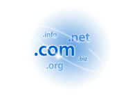 Domain Name Registration Domain Name Registration